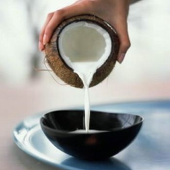 Coconut milk powder recipes